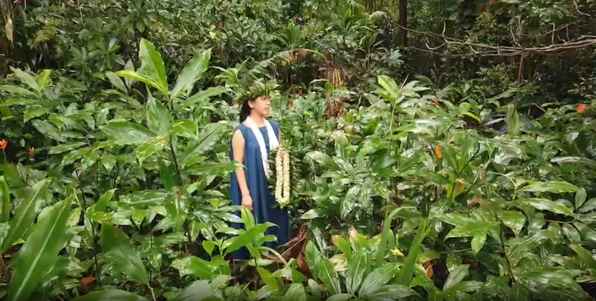 Hula kaiiページ HULA Le'a（フラレア）｜定期購読 - 雑誌のFujisan